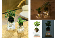 東邦レオ株式会社のプレスリリース画像1