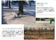 東邦レオ株式会社のプレスリリース