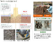 東邦レオ株式会社のプレスリリース画像3