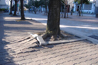 東邦レオ株式会社のプレスリリース画像4