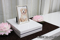 アットマガジンズ有限会社のプレスリリース画像4