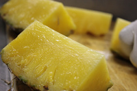 サンクトガーレン有限会社のプレスリリース画像3