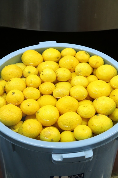 サンクトガーレン有限会社のプレスリリース画像6