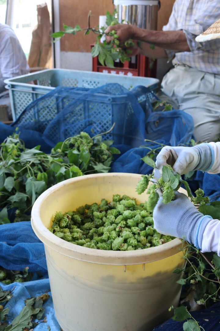 サンクトガーレン有限会社のプレスリリース画像5