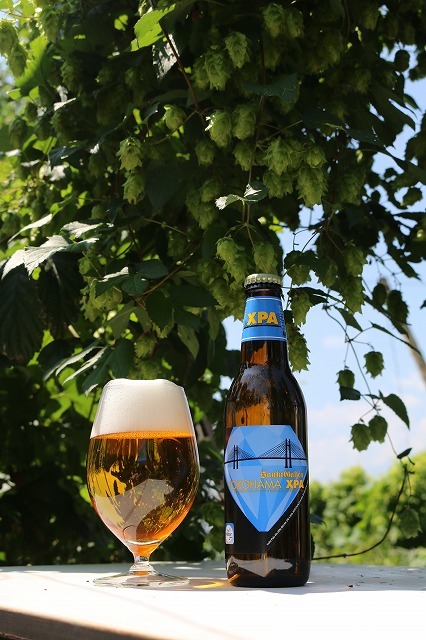 サンクトガーレン有限会社のプレスリリース画像1