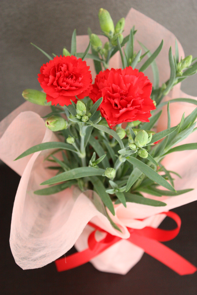 サンクトガーレン有限会社のプレスリリース画像2