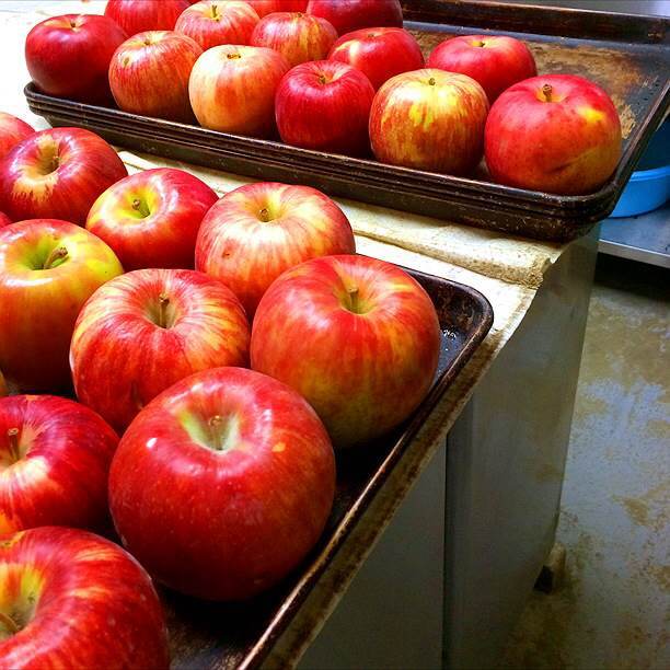 サンクトガーレン有限会社のプレスリリース画像6