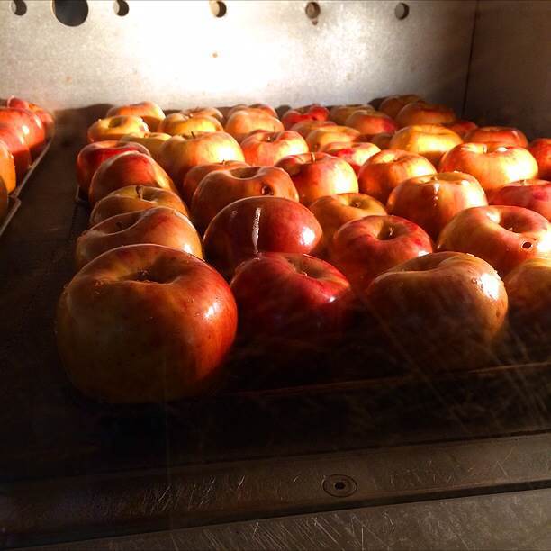 サンクトガーレン有限会社のプレスリリース画像8