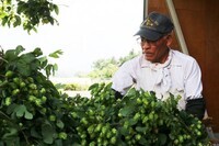 サンクトガーレン有限会社のプレスリリース画像9