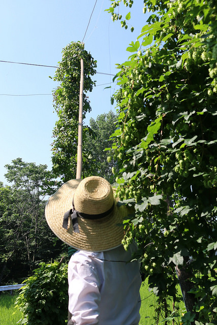 サンクトガーレン有限会社のプレスリリース画像3