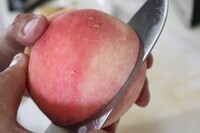 サンクトガーレン有限会社のプレスリリース画像3