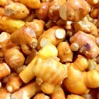 サンクトガーレン有限会社のプレスリリース画像2