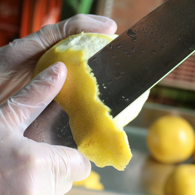 サンクトガーレン有限会社のプレスリリース画像7