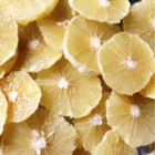 サンクトガーレン有限会社のプレスリリース画像8