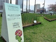 サンクトガーレン有限会社のプレスリリース画像3