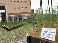 サンクトガーレン有限会社のプレスリリース画像4