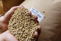 サンクトガーレン有限会社のプレスリリース画像2