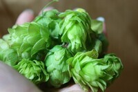 サンクトガーレン有限会社のプレスリリース画像3