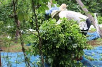 サンクトガーレン有限会社のプレスリリース画像6