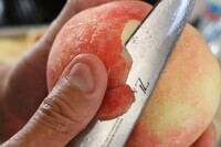 サンクトガーレン有限会社のプレスリリース画像4