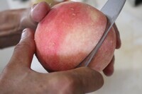 サンクトガーレン有限会社のプレスリリース画像3