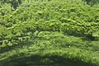 サンクトガーレン有限会社のプレスリリース画像6