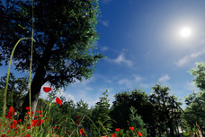 株式会社志麻ヒプノ・ソリューションのプレスリリース画像1