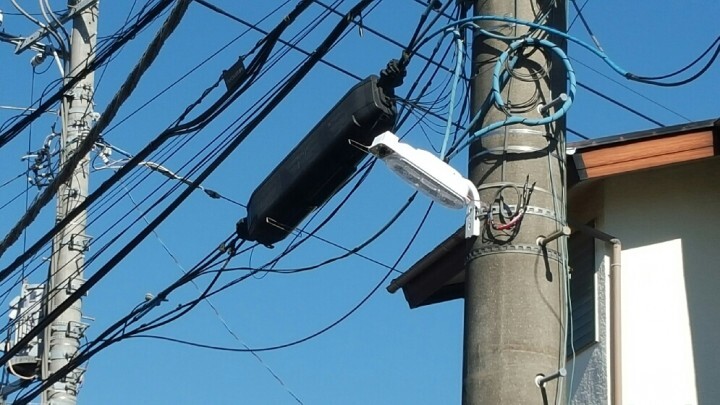 神農流通株式会社のプレスリリース