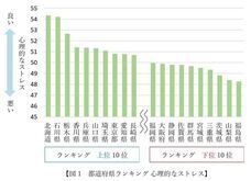 ピースマインド株式会社のプレスリリース画像1