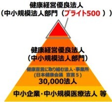 ピースマインド株式会社のプレスリリース画像2