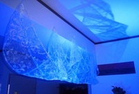 有限会社RBabaのプレスリリース