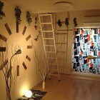 有限会社RBabaのプレスリリース