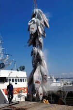 株式会社エー・アンド・デイのプレスリリース画像5