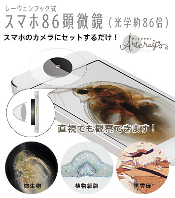 スマホカメラにつけるだけで86倍顕微鏡になる スマホ86顕微鏡 を発売 野外観察や夏休みの自由研究にも使える 光と色彩の能力テストtocolのプレスリリース