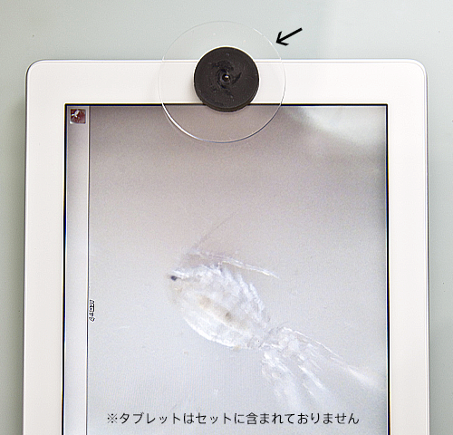 スマホカメラにつけるだけで86倍顕微鏡になる スマホ86顕微鏡 を発売 野外観察や夏休みの自由研究にも使える 光と色彩の能力テストtocolのプレスリリース