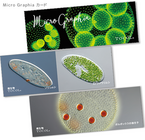 光と色彩の能力テストTOCOLのプレスリリース画像4