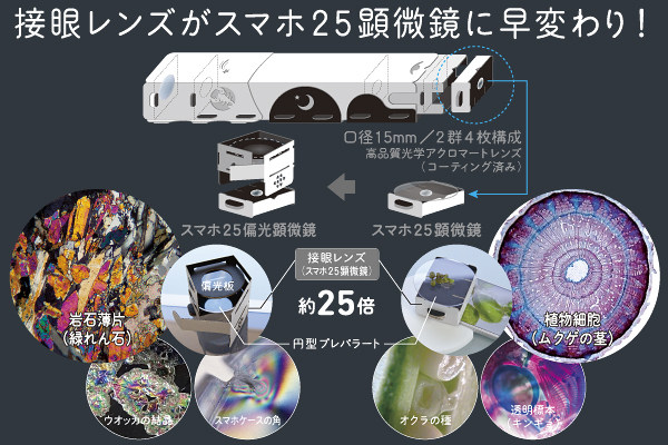 光と色彩の能力テストTOCOLのプレスリリース画像2