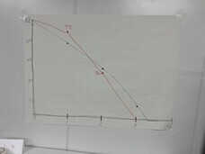 セイ・コンサルティング・グループ株式会社のプレスリリース画像3