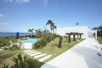 株式会社アイムのプレスリリース