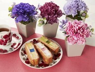 株式会社 新保哲也アトリエのプレスリリース画像1