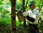 株式会社松沢漆工房のプレスリリース画像7