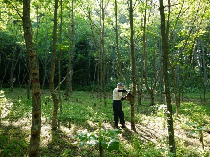 株式会社松沢漆工房のプレスリリース画像6