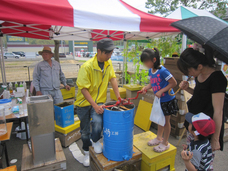 金澤やまぎし養蜂場株式会社のプレスリリース画像4