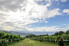 特定非営利活動法人ハナラボのプレスリリース画像9