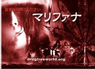 日本薬物対策協会のプレスリリース画像1