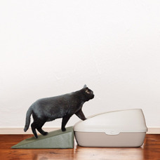 株式会社ソーヴィーのプレスリリース画像1