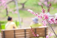 株式会社ウェブユニオンのプレスリリース