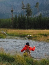 シャンティーシャックのプレスリリース画像2