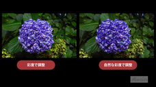 アテイン株式会社のプレスリリース画像2