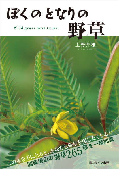 青山ライフ出版のプレスリリース画像1